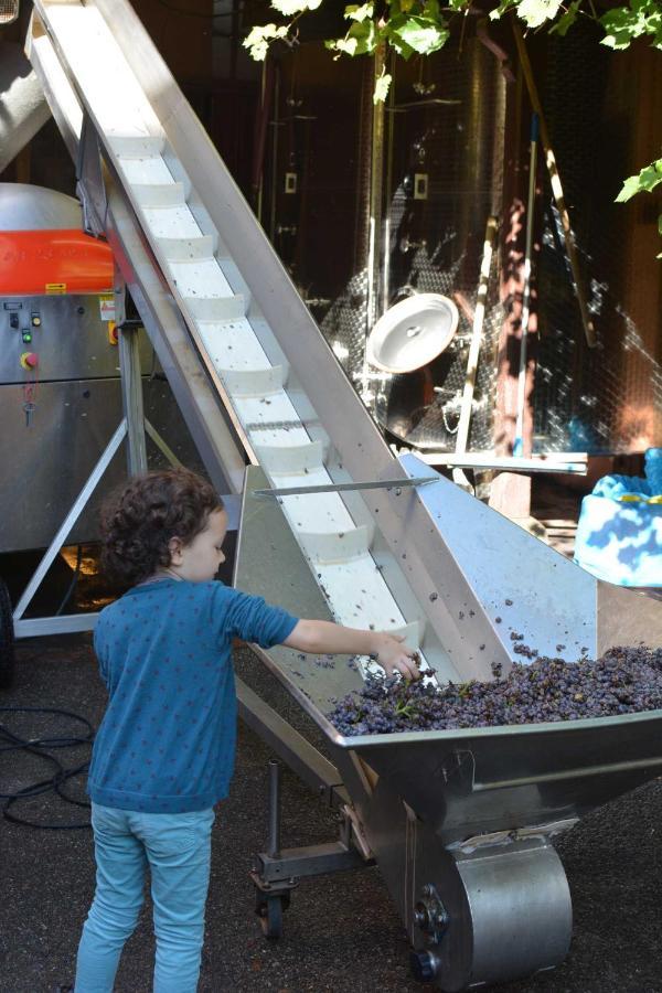 Chez Cecile Bed And Breakfast Chez Le Vigneron Κολμάρ Εξωτερικό φωτογραφία