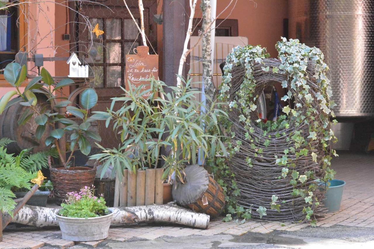 Chez Cecile Bed And Breakfast Chez Le Vigneron Κολμάρ Εξωτερικό φωτογραφία