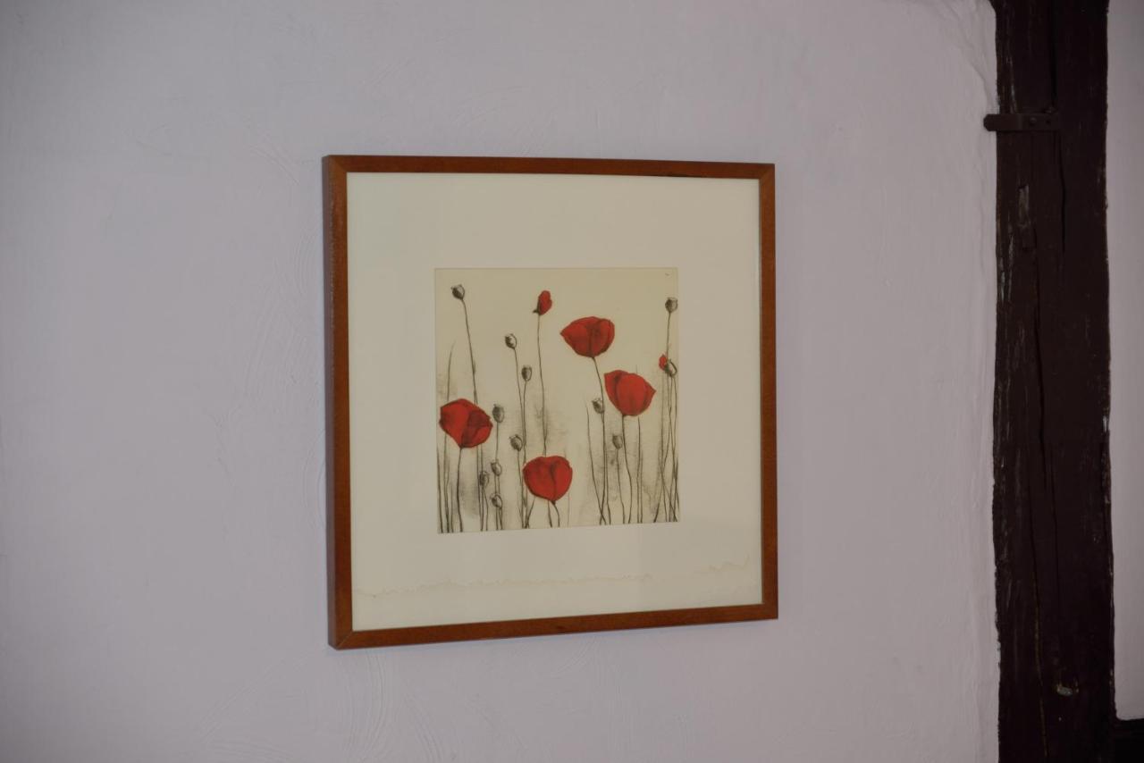 Chez Cecile Bed And Breakfast Chez Le Vigneron Κολμάρ Εξωτερικό φωτογραφία